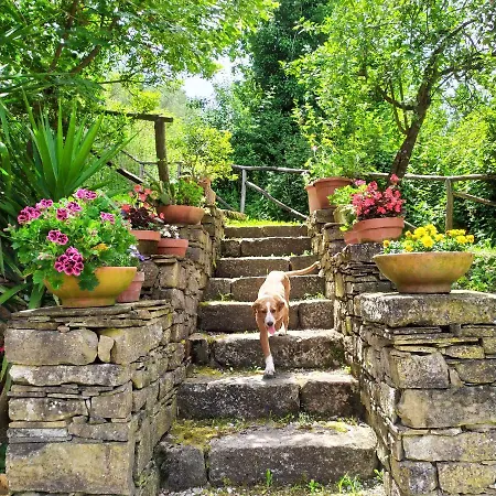 I Tre Tigli - Rutino