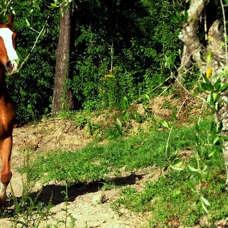 农家乐 I Tre Tigli - Rutino