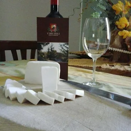 I Tre Tigli - 农家乐 Rutino